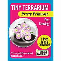 Tiny Terrarium Pretty Primrose