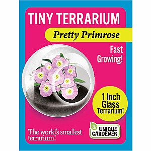 Tiny Terrarium Pretty Primrose