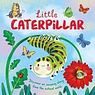Little Caterpillar: Nature Stories Padded Board Book