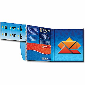 SmartGames Tangoes Paradox