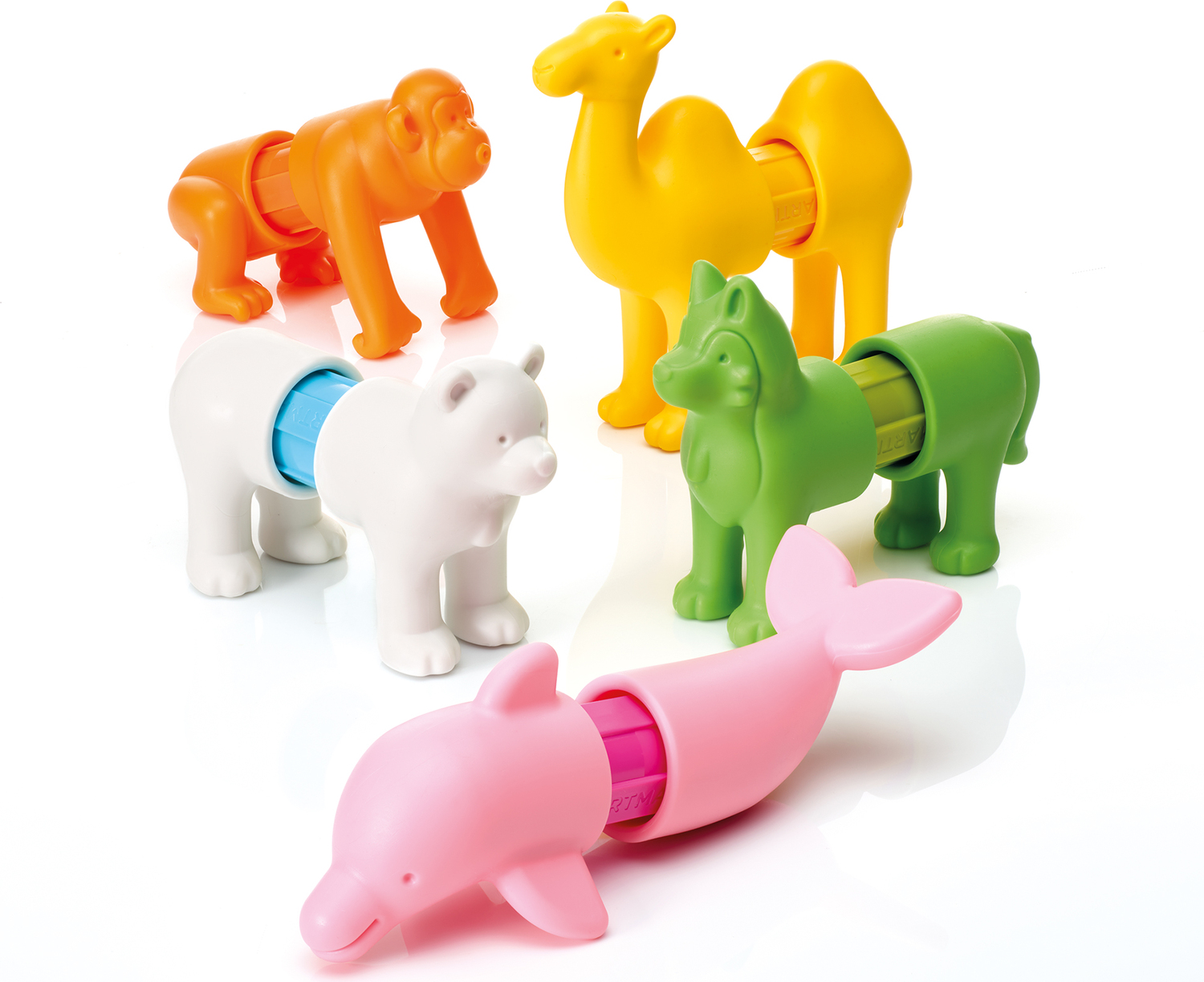 SmartMax My First Animals Around the World