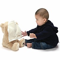 Animated Peek-A-Boo Bear, 11.5-Inch