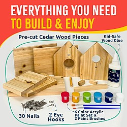Junior Birdhouse DIY Kit