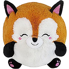 Baby Fox (15