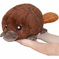 Mini Squishable Baby Platypus (7