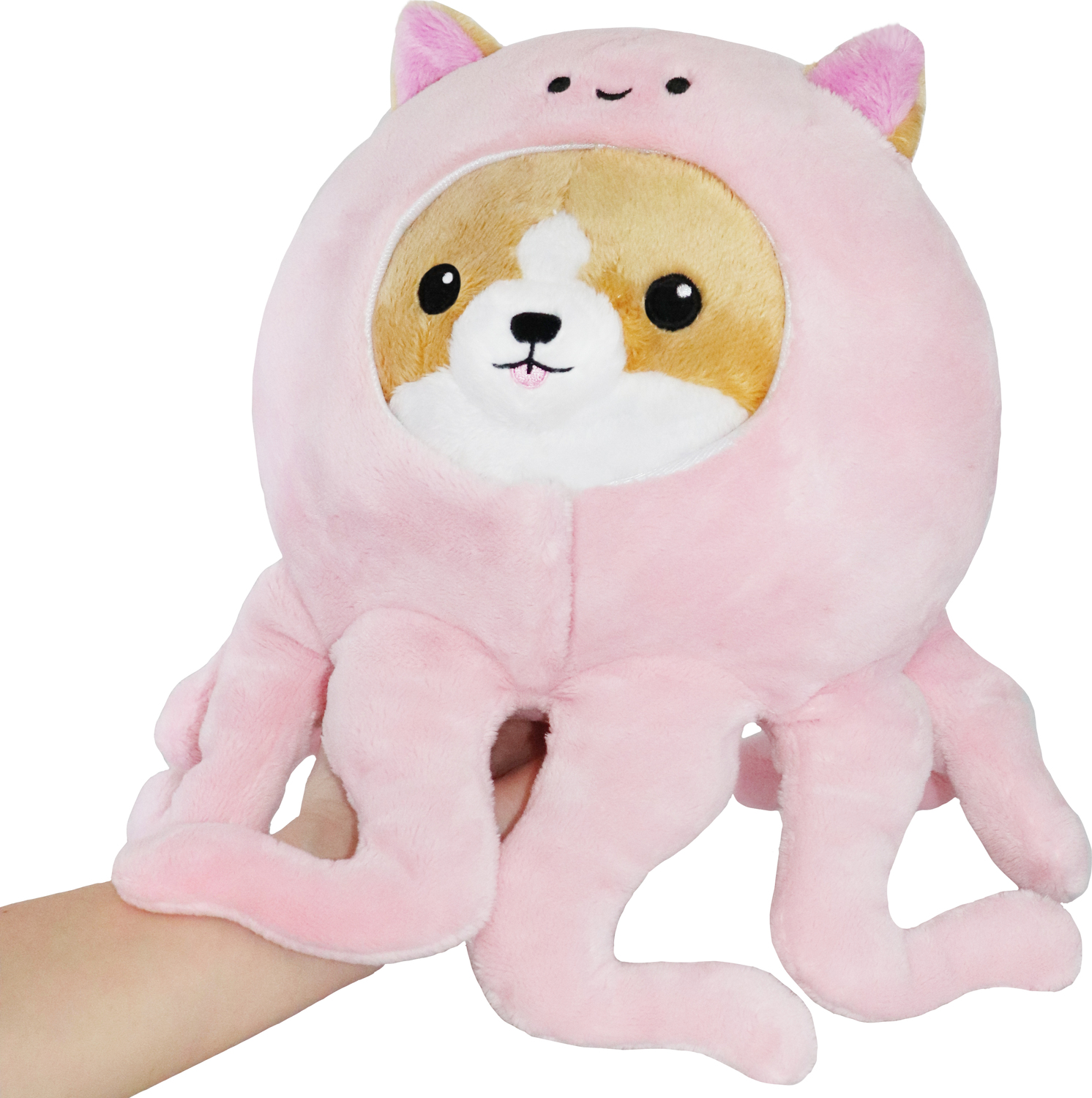 Squishables corgi shop