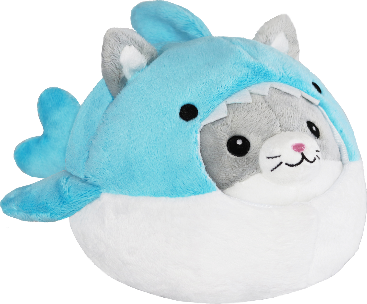 Undercover Kitty in Shark (7