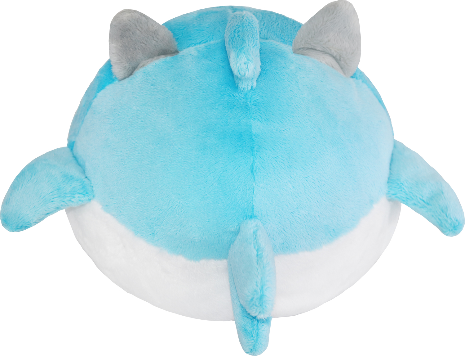 Undercover Kitty in Shark (7