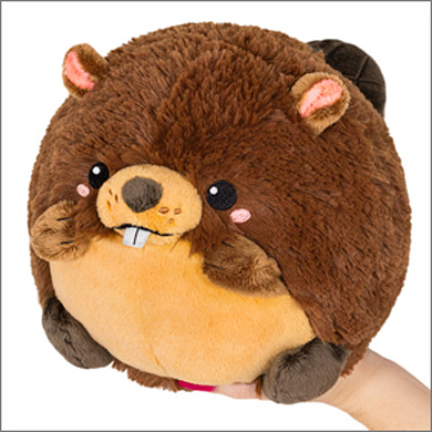 squisqu110074.jpg