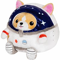 Undercover Corgi in Astronaut (7