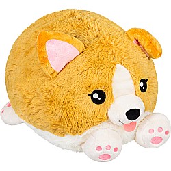 Squishable Baby Corgi (15