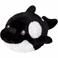 Mini Squishable Orca