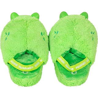 Structured Slipper - Frog - Youth