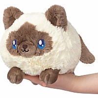 Mini Squishable Colorpoint Kitty