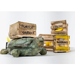 Turtle Soapstone Carving Kit