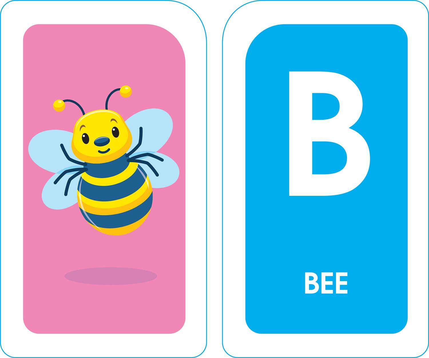 alphabet-flash-cards-school-zone-publishing-bens
