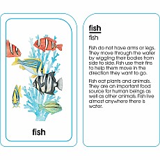 Animals of All Kinds Flash Cards