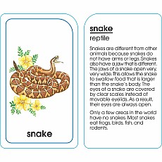 Animals of All Kinds Flash Cards