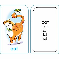 Word Families Flash Cards
