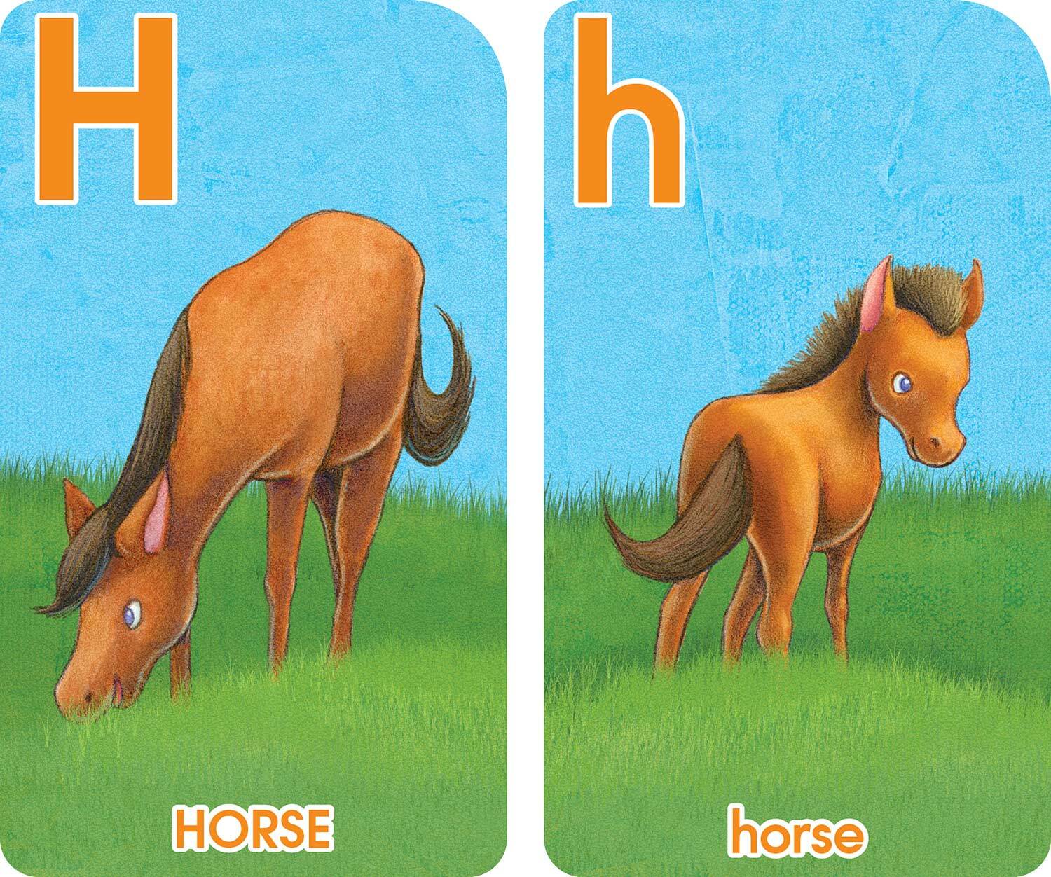 go-fish-alphabet-game-cards-fun-stuff-toys