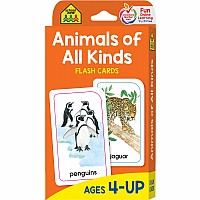 Preschool to 2nd Grade - Animals Flash Cards