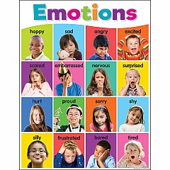 Colorful Emotions Chart
