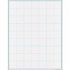 Graphing Grid Large Squares Write-On/Wipe-Off Chart