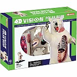 4D Vision Polar Bear Anatomy Model