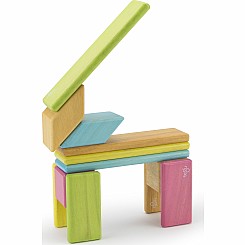 TEGU 14-piece Set in Tints