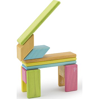 TEGU 14-piece Set in Tints