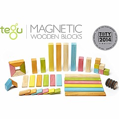 TEGU Magnetic Wooden Blocks 42-piece Set in Tints
