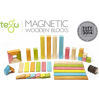 Tegu Classics: 42-Piece Set Magnetic Wooden Blocks (TINTS)