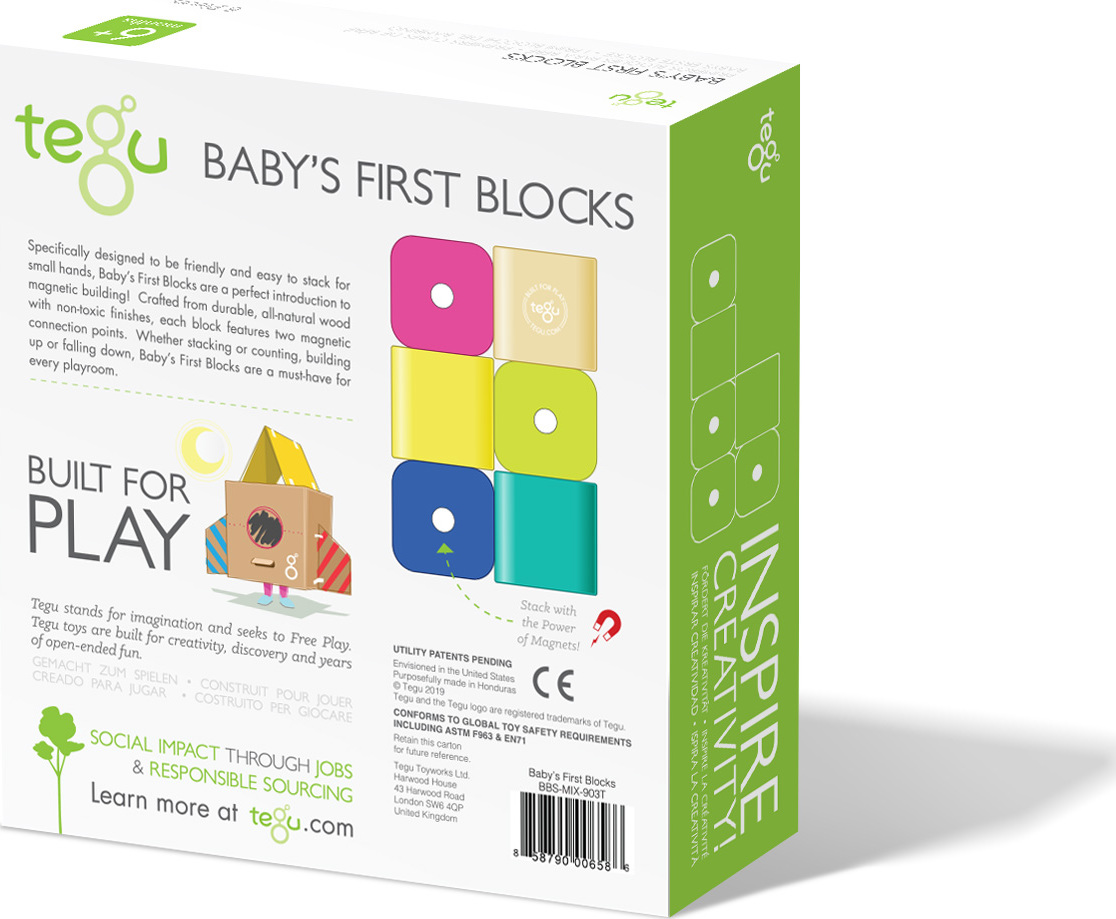 Tegu baby's deals first blocks