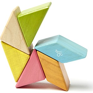 Tegu Pocket Pouch Prism Magnetic Wooden Block Set, TINTS - 6 Piece