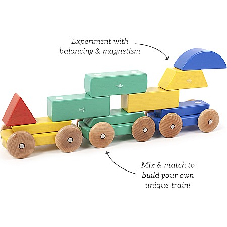 Magnetic Shape Train Tegu Baby and Toddler (9 pieces) color: BIG TOP