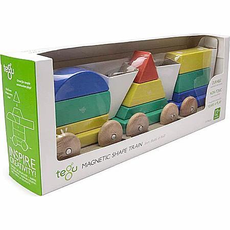 Magnetic Shape Train Tegu Baby and Toddler (9 pieces) color: BIG TOP