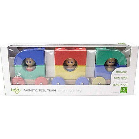 Magnetic Tegu Tram - Baby and Toddler - 12 pieces