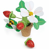 Strawberry Flower Pot