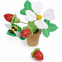 Strawberry Flower Pot