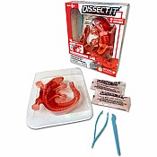 Dissect-It Salamander Lab Kit