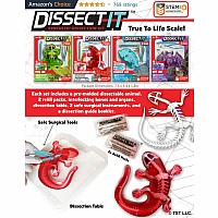 Dissect-It Salamander Lab Kit