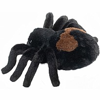 Sneakie Spider Soft