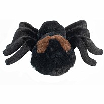 Sneakie Spider Soft