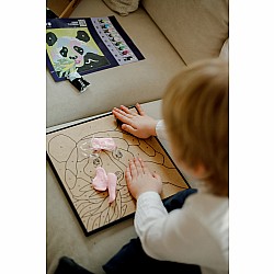 OKTO Sensory Art Coloring with Clay Set by Numbers - Panda