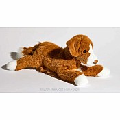 Rush Duck Tolling Retriever