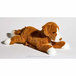 Rush Duck Tolling Retriever
