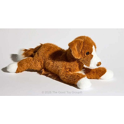 Rush Duck Tolling Retriever