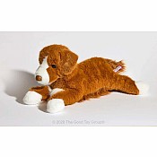 Rush Duck Tolling Retriever