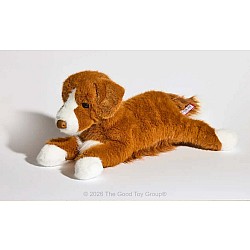 Rush Duck Tolling Retriever