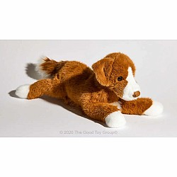 Rush Duck Tolling Retriever